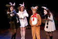 6738_bunnies_rabbit_thumb.gif 8.0K